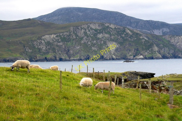 Photo 6"x4" Loughros Beg Bay & Slievetooey Mountains Crannogeboy c2005