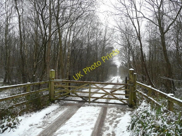 Photo 6"x4" Gated track into Little Goosehill Wood Goosehill Green c2009
