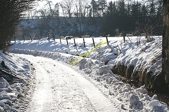 Photo 6"x4" Near Fife Cottage Keith c2009