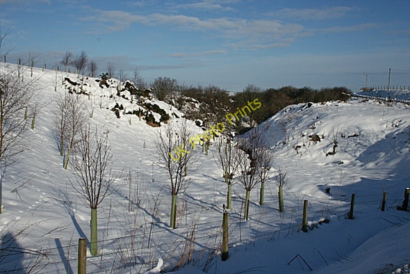 Photo 6"x4" Downstream at Lowrie Bridge Keith c2009