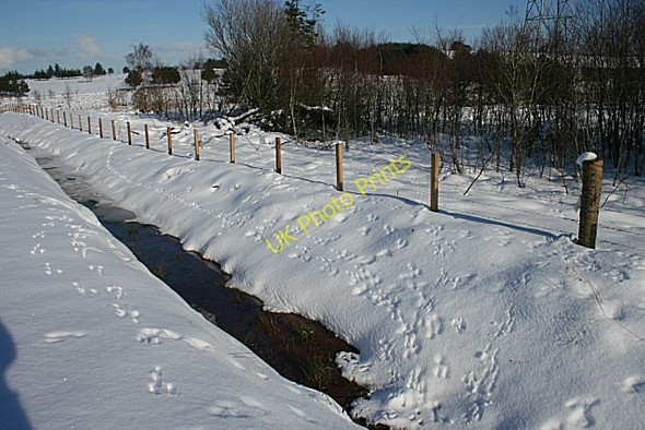 Photo 6"x4" Tracks by the Burn Keith c2009