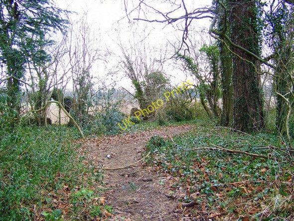 Photo 6"x4" Footpath near Damerham North End\/SU1016 c2009