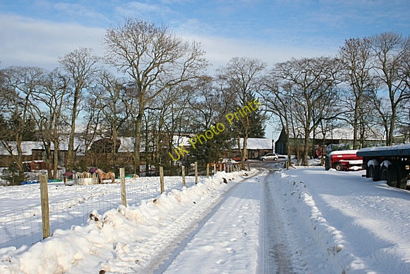 Photo 6"x4" Meikle Cantly Davoch of Grange c2009