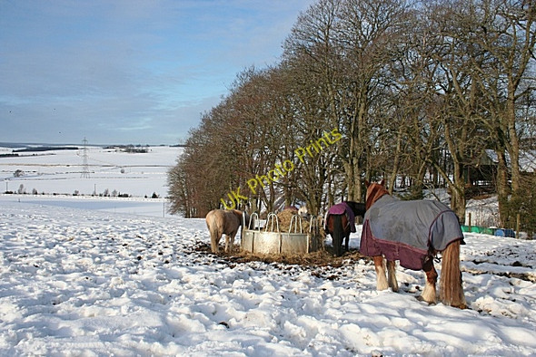 Photo 6"x4" Meikle Cantly Davoch of Grange c2009 P1