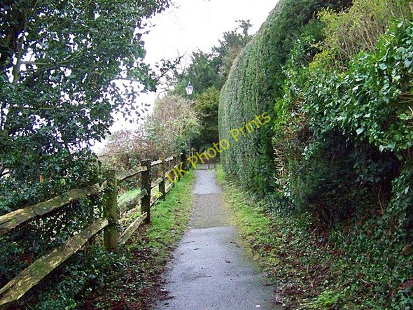 Photo 6"x4" Footpath, Abbotts Ann Abbotts Ann c2009