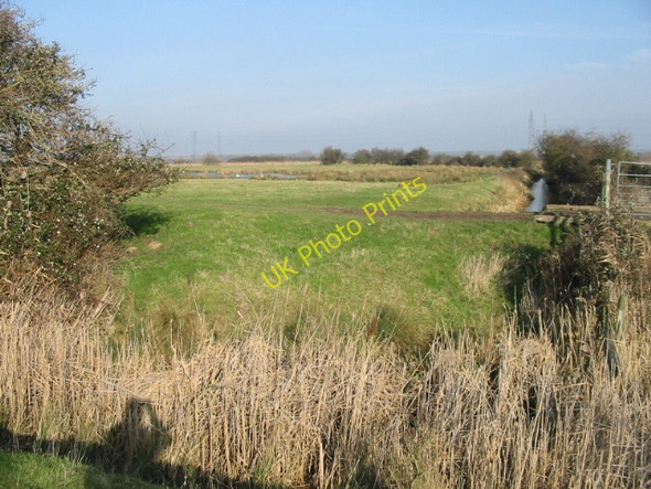 Photo 6"x4" Looking N across the Ash Levels Lower Goldstone c2009