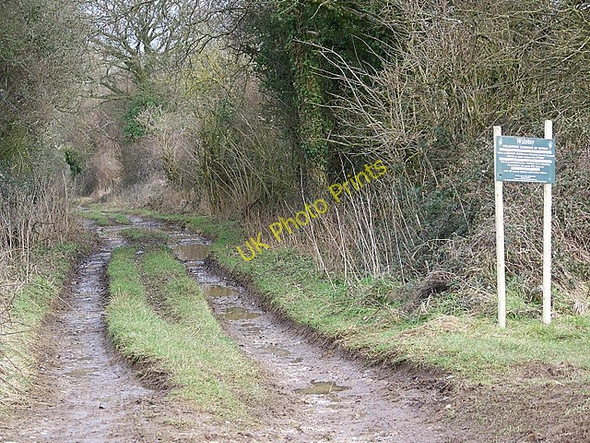 Photo 6"x4" Byway near Knighton Farm Martin Drove End c2009