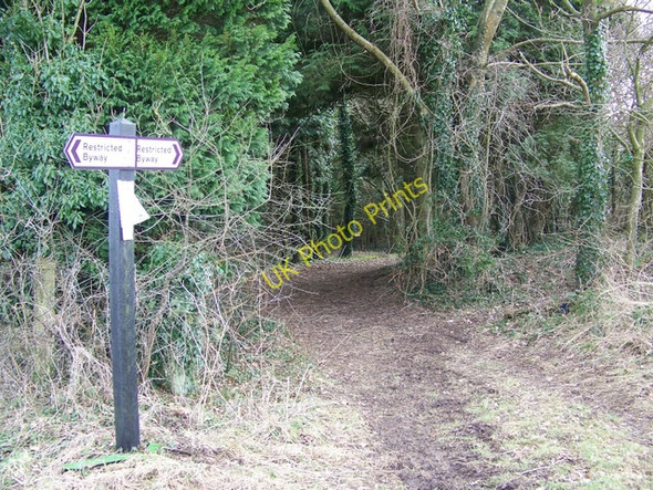 Photo 6"x4" Restricted byway near Knighton Farm Martin Drove End c2009