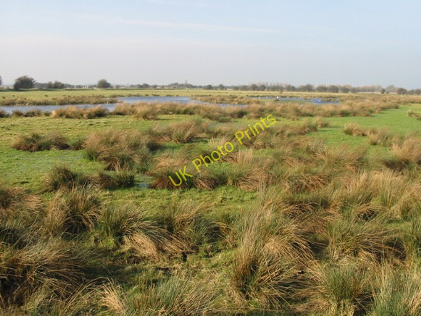 Photo 6"x4" Waterlogged field on Ash Level Lower Goldstone c2009