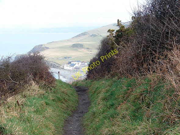 Photo 6"x4" The path to Clarach Bay Aberystwyth c2009