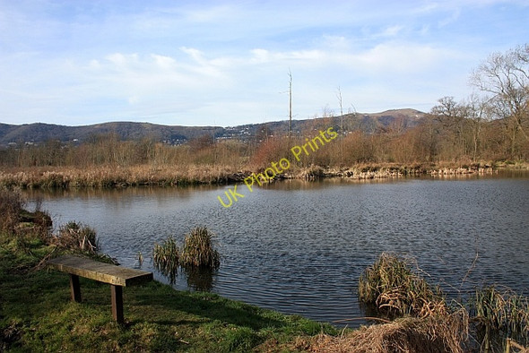 Photo 6"x4" Old mill pond, Upper Arles Wood Poolbrook c2009