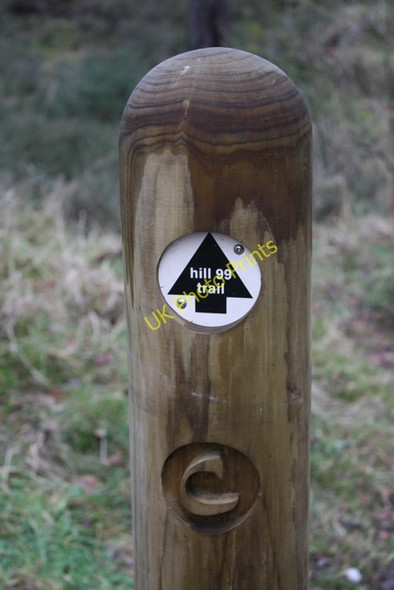 Photo 6"x4" Trail marker, Culbin Forest Cloddymoss c2009