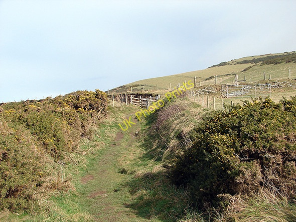 Photo 6"x4" Gate on the Ceredigion Coastal Path Clarach c2009