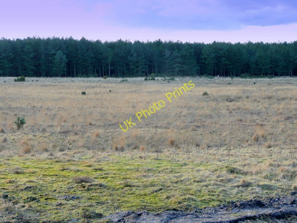 Photo 6"x4" Battle Plain, Holme Heath Creech c2009