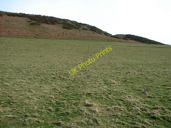 Photo 6"x4" Pasture north of Wallog Clarach c2009