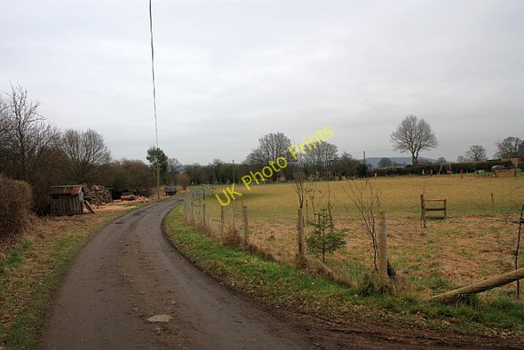 Photo 6"x4" Swinmore Common Swinmore Common c2009