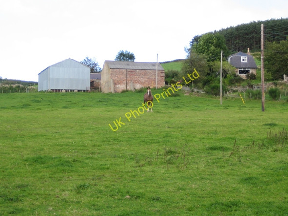 Photo 6"x4" Lower Shampher Strachan c2007