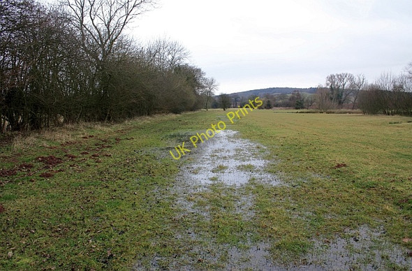 Photo 6"x4" Route of the Hereford and Gloucester canal Swinmore Common c2009