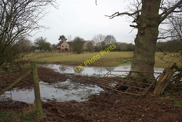 Photo 6"x4" The Croft Swinmore Common c2009