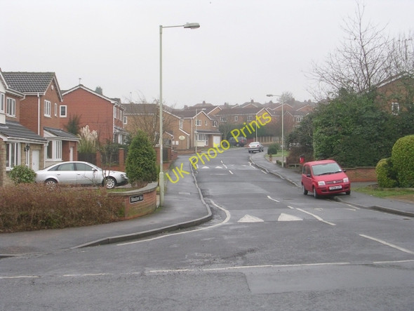 Photo 6"x4" Meadow Vale - Broadmeadows Lofthouse Gate c2009