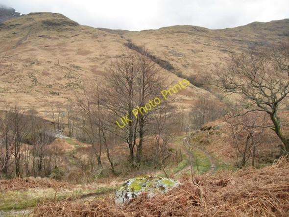 Photo 6"x4" Track in Glen Kinglass Acharn\/NN1235 c2009