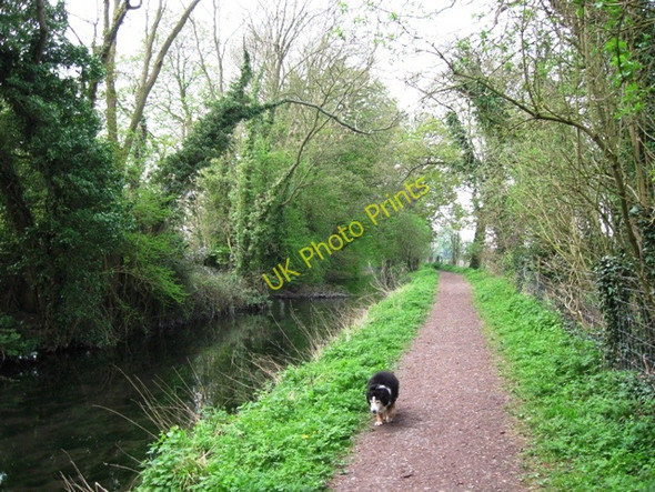 Photo 6"x4" Wendover Arm: A section of the disused canal at Halton Wendover c2009