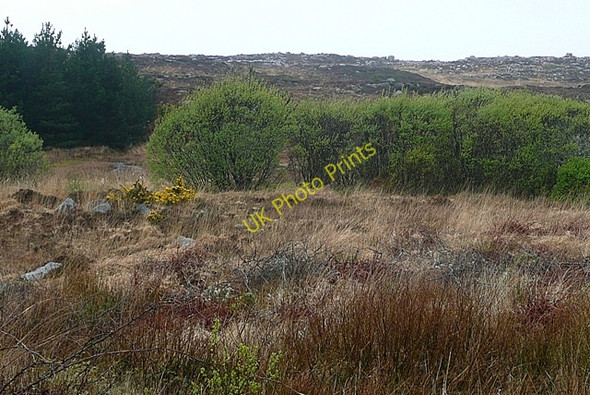 Photo 6"x4" Land south of Gleann Trasna (Glentrasna) Gorumna c2009