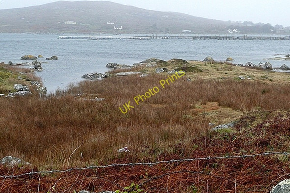 Photo 6"x4" Leitir M\u00c3\u00b3ir (Lettermore) Lettermore\/L8928 c2009