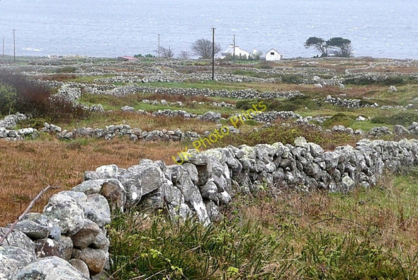 Photo 6"x4" West of Leitir Calaidh (Lettercallow) Lettermore\/L8928 c2009