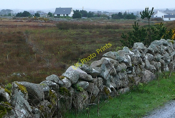 Photo 6"x4" Leitir Calaidh (Lettercallow) Lettermore\/L8928 c2009
