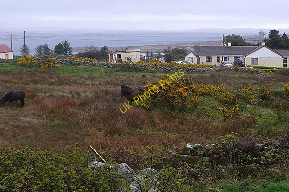 Photo 6"x4" Leitir M\u00c3\u00b3ir (Lettermore) Lettermore\/L8928 c2009