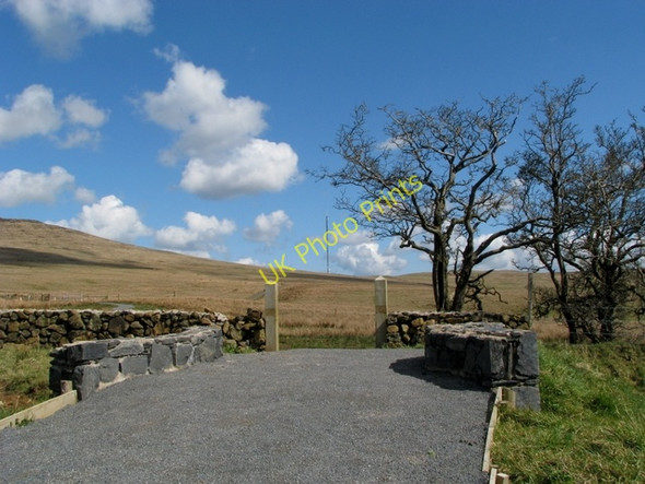 Photo 6"x4" Trees near Divis Clady\/J2578 c2009