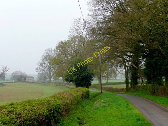Photo 6"x4" Lane to Murrells End Kempley c2009