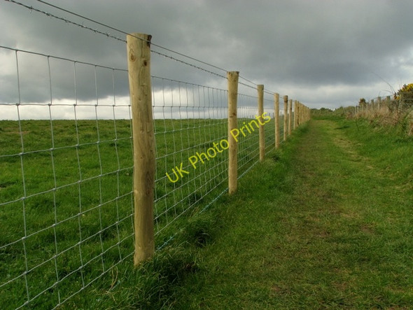 Photo 6"x4" North Antrim Cliff Path near Dunseverick Dunseverick c2009