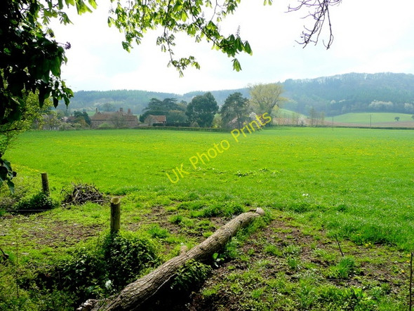 Photo 6"x4" Looking towards Weston Hall 2 Ross-on-Wye c2009