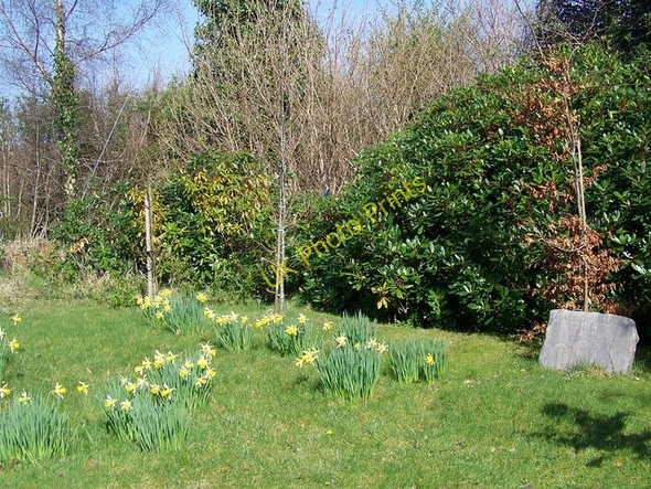 Photo 6"x4" Churchyard, Our Lady of the Valley Church, Glann Cornamona c2009