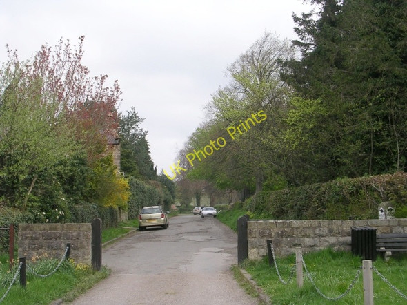 Photo 6"x4" Un-named Lane Ripley\/SE2860 c2009