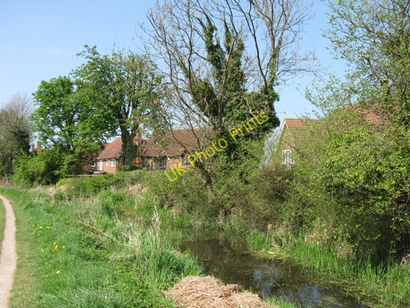Photo 6"x4" Wendover Arm: Houses line the North Bank of the Canal at Aston Clinton Bucklandwharf c2009