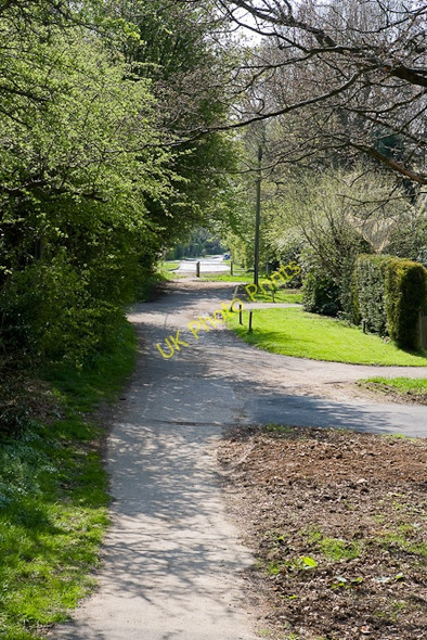 Photo 6"x4" Path beside Lymington Bottom Kitwood c2009