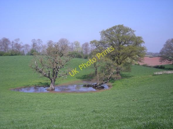 Photo 6"x4" Still waterlogged! Newton\/SJ4234 c2009