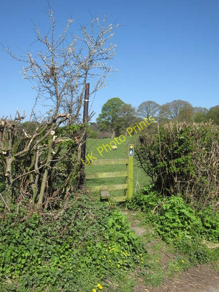 Photo 6"x4" Stile by the lane to Maeshafn Tafarn-y-Gelyn c2009