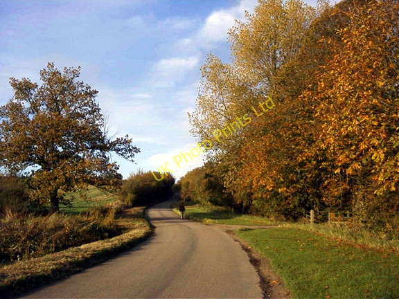Photo 6"x4" Autumn colours frame the climb up to Chrishall village Broad Green\/TL4439 c2005