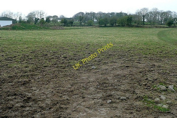 Photo 6"x4" Derrydonnell More Athenry c2009 P1