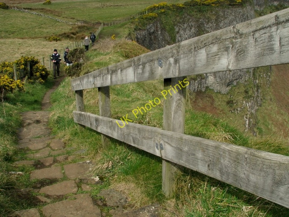 Photo 6"x4" North Antrim Cliff Path Dunseverick c2009