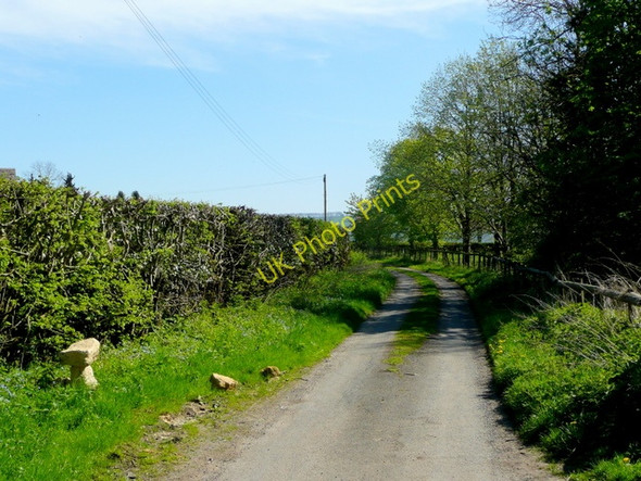 Photo 6"x4" Lane at Burberry Hill New Town\/SP0432 c2009