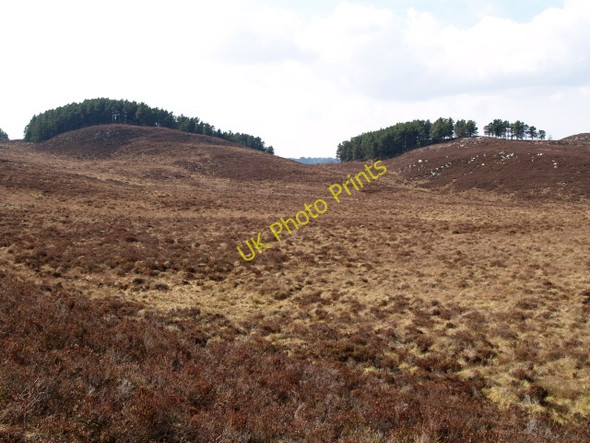 Photo 6"x4" Moorland and forest Catlodge c2009