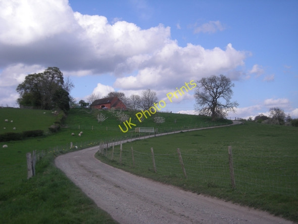Photo 6"x4" Driveway to Bickers Court Farm Danzey Green c2009
