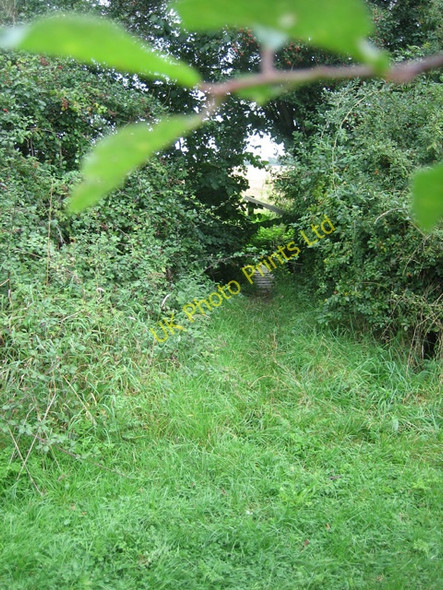 Photo 6"x4" Footpath Junction on the track to Rokeby Farm Stanway Green\/TM2470 c2007
