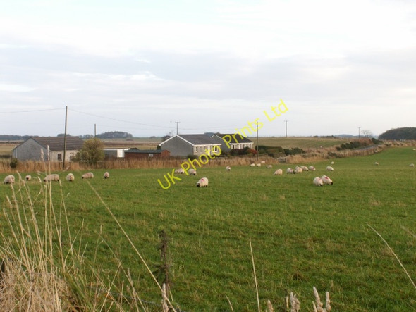 Photo 6"x4" Houses by Lochty Carnbee c2005