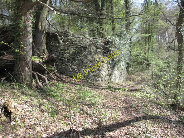 Photo 6"x4" Industrial structure by the River Alyn\/Afon Alun Tafarn-y-Gelyn c2009